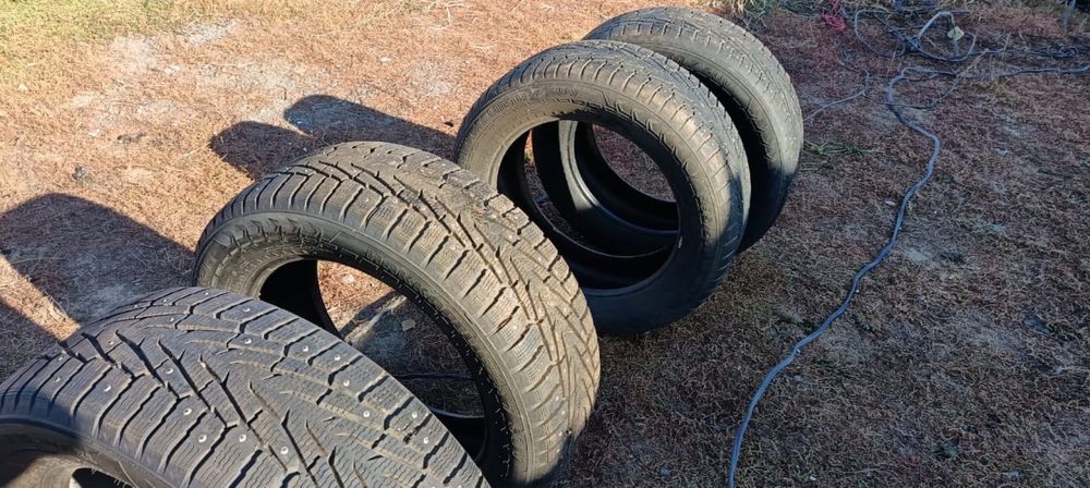 Nokian Hakkapeliitta