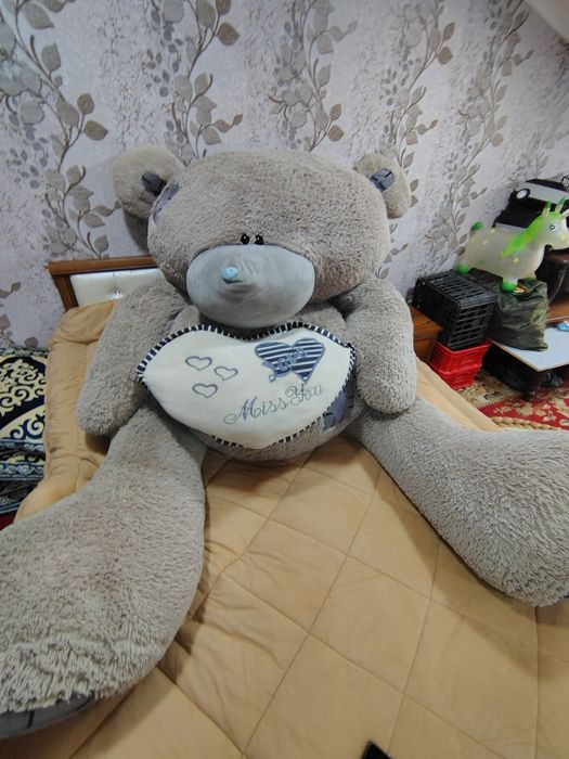 Kotta 2.2 metrli teddy bear  ayigʻi