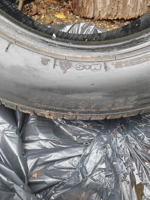 Cauciucuri 225 65 17 good year și minerva