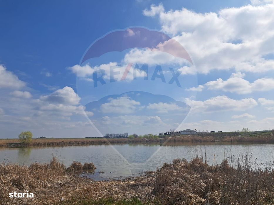 Teren Frumusani DN4 2000 mp + 5000 mp  deschidere Lac Pasarea