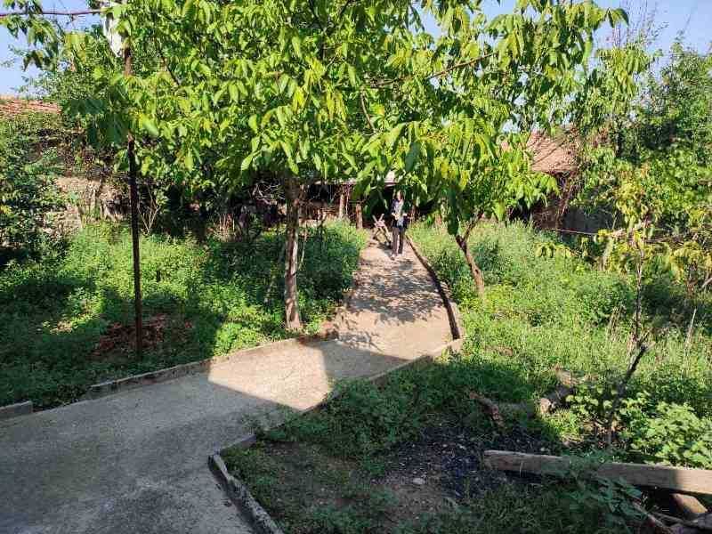 Едноетажна къща с двор 770 кв.м