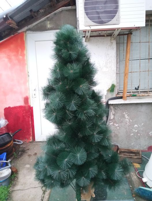 Коледна Елха..елха