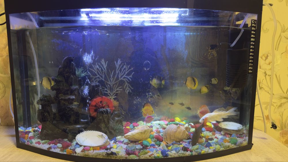 Аквариюм 1метрлик