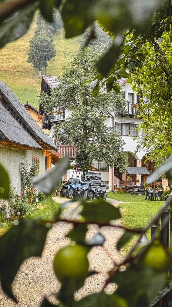 Vila de inchiriat in Bran