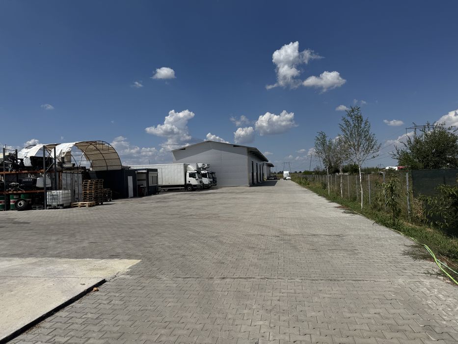 Hala de inchiriat in Ciorogarla