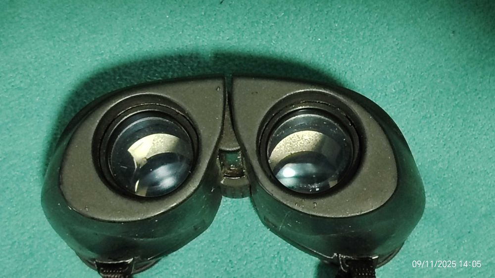 Super Binoclu BUSHINEL 10X24