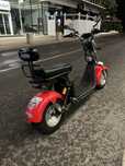 scuter electric