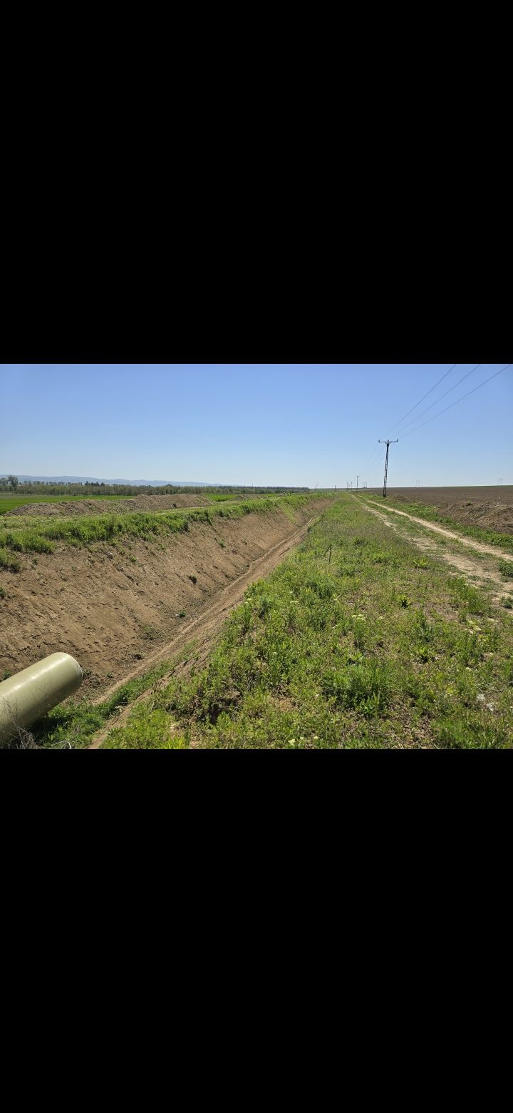 Teren  extravilan Dumbrava  Itesti Bacau