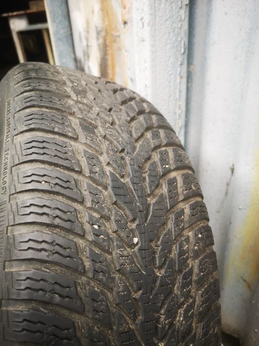 Roti de iarna 195/65 r15