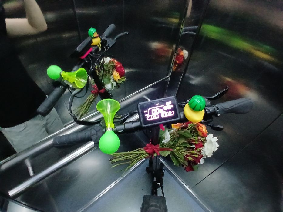 Trotinetă electrică Ruptor R1 lite