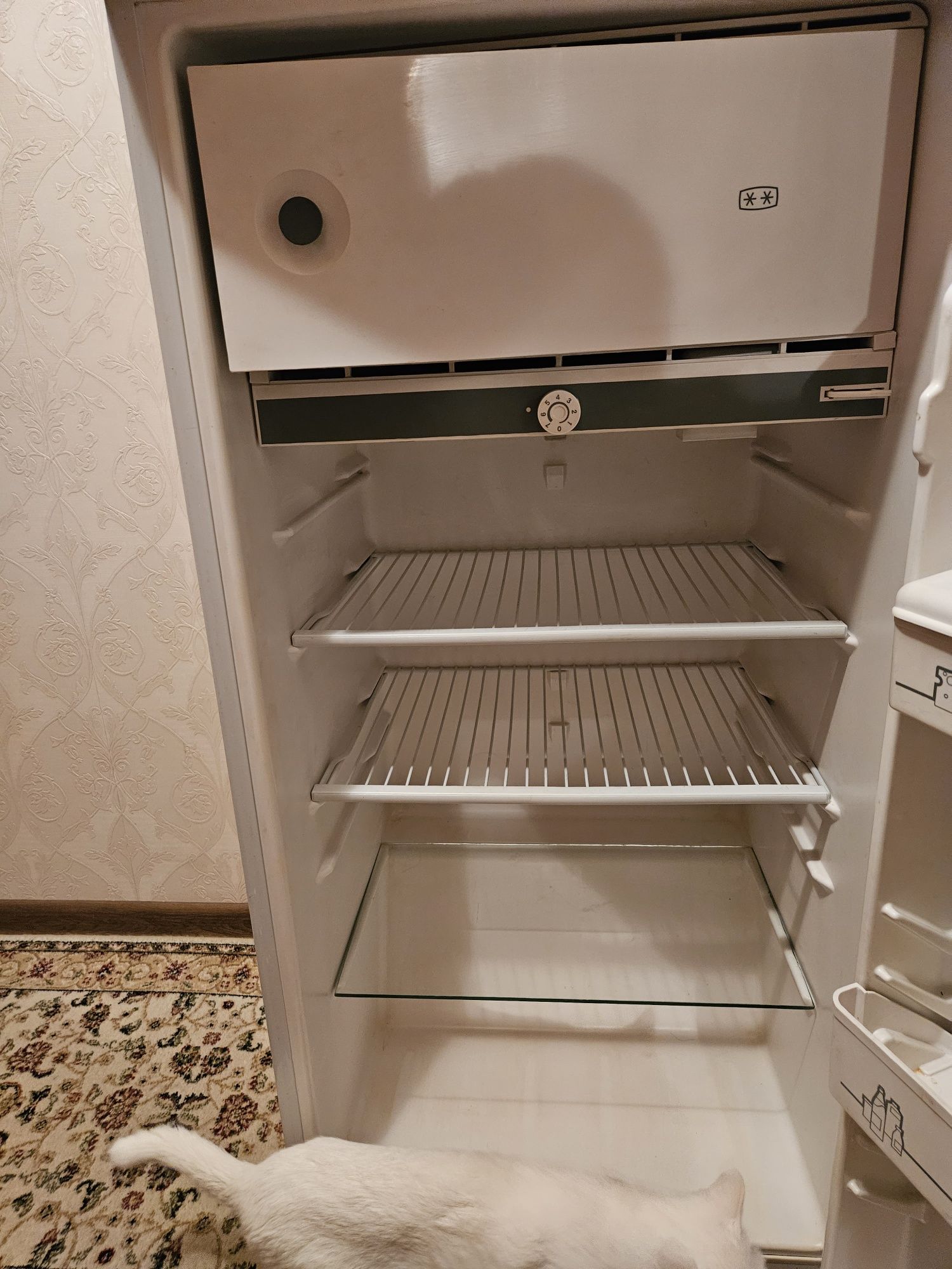 Холодильник Бирюса 10 НС 1. Б/у