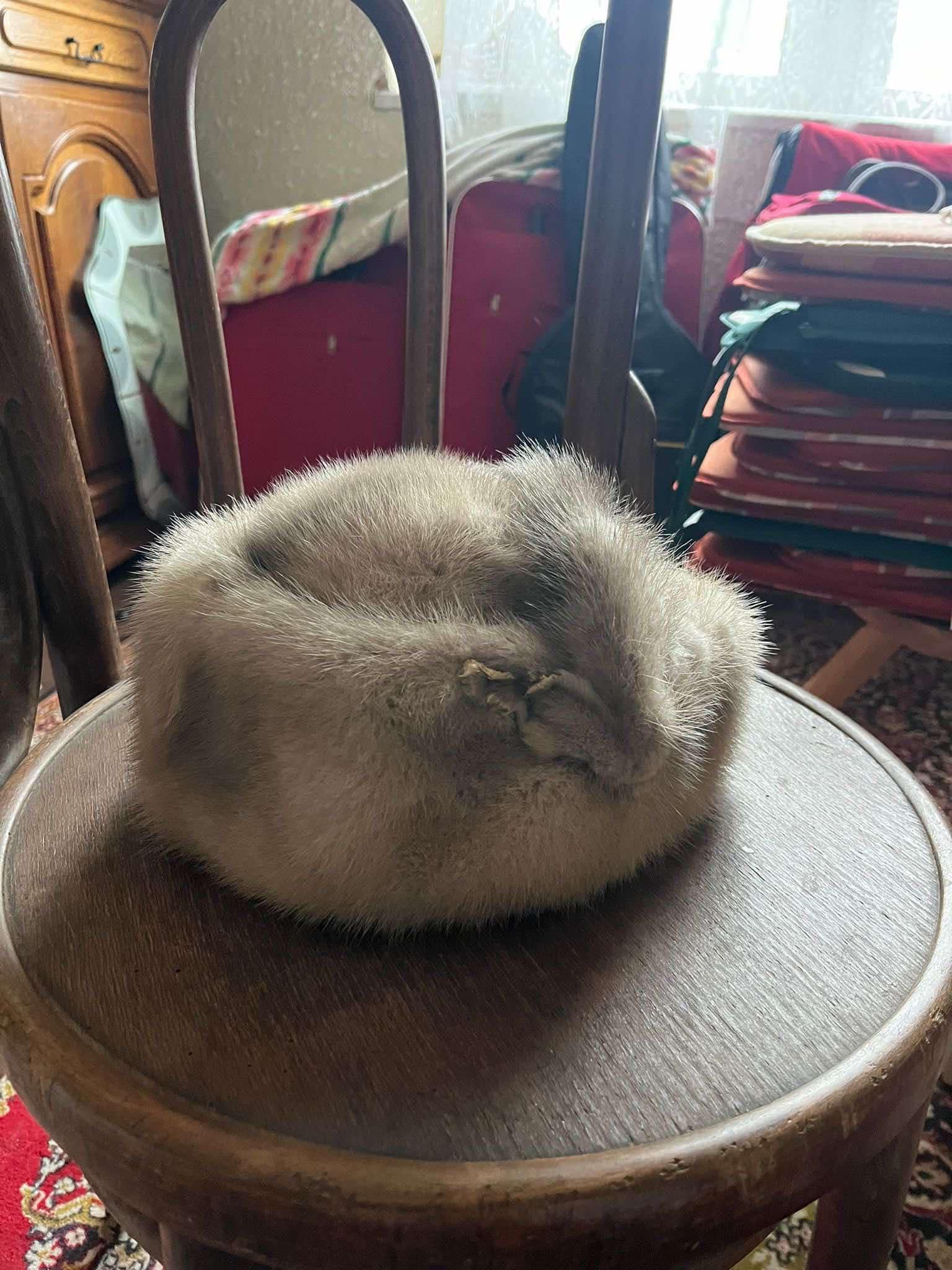 Căciulă de blană