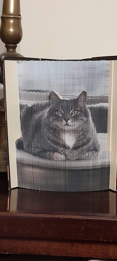 Cărți portret la comanda