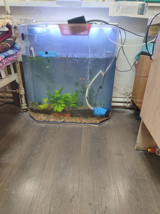 Акриловы аквариум