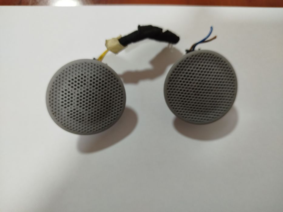 Pishalka (высоко частотное динамики)  treker1 GM