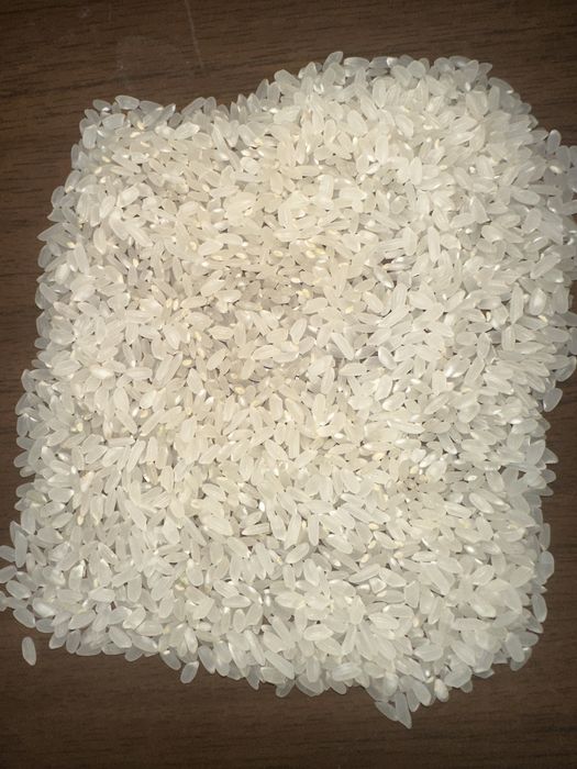 Guliston lideri guruchi