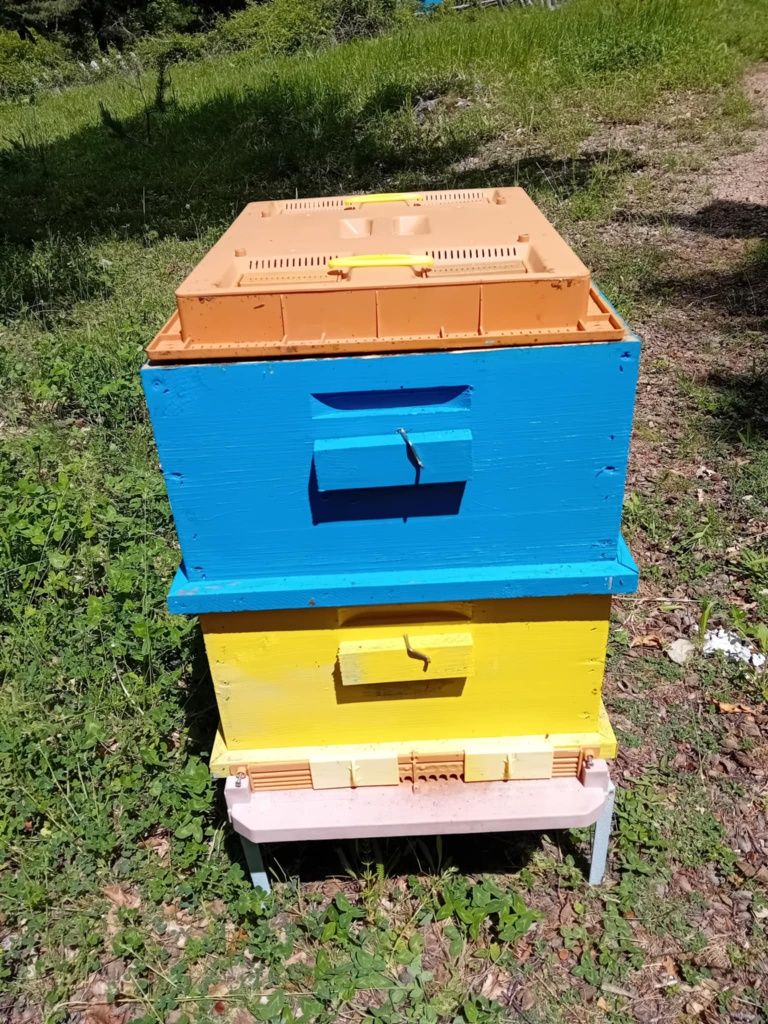 Продавам кошери многокорпусни