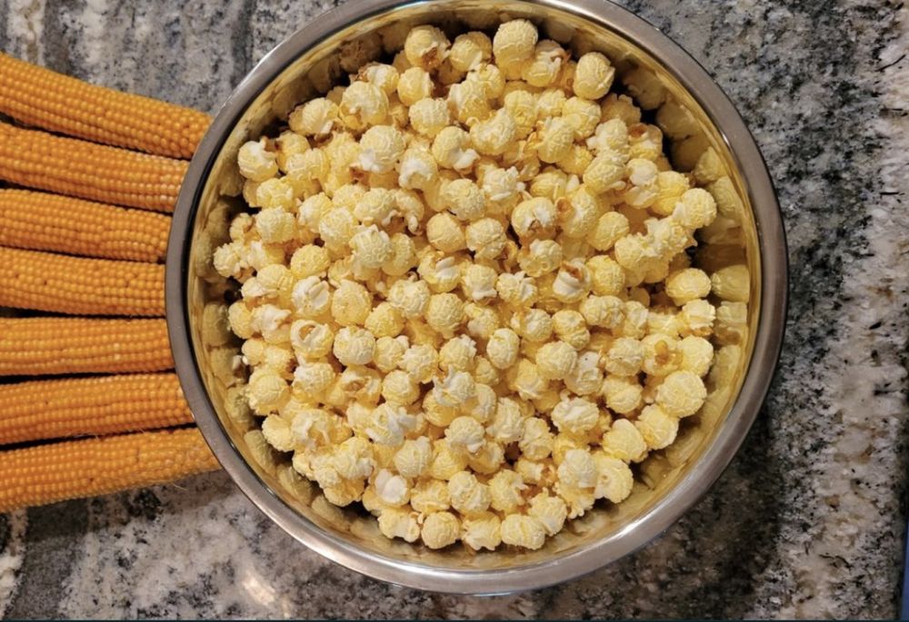 Pop korn. Amerika  joxori