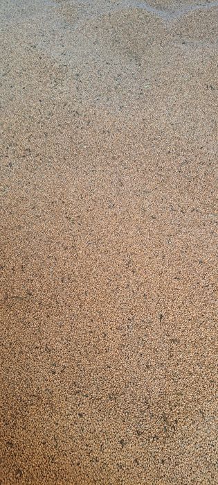 Grau producție 2025