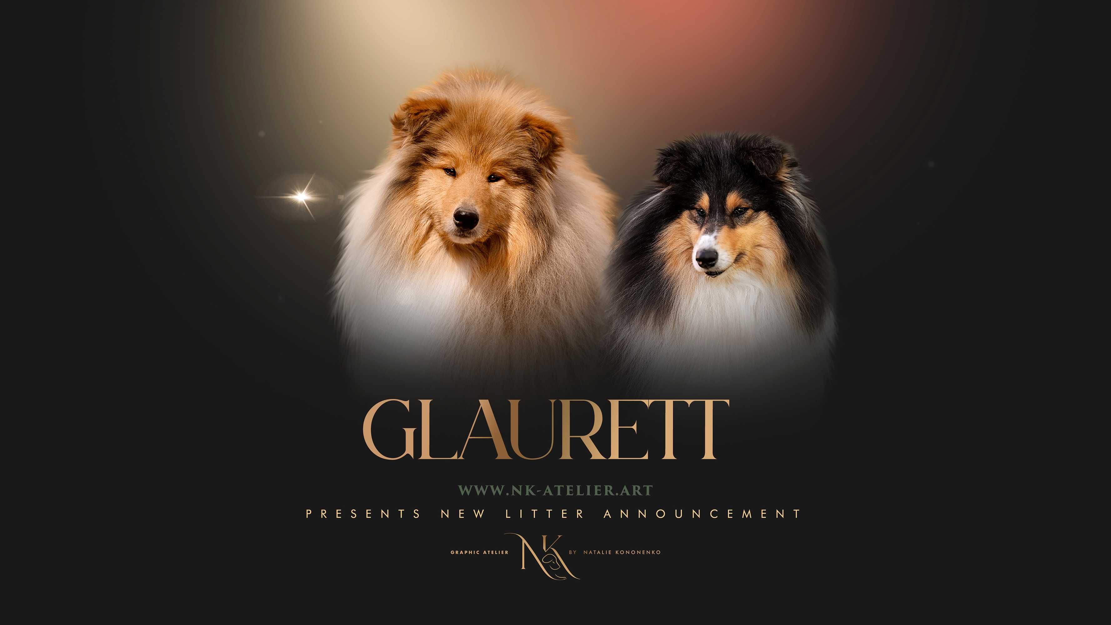 Колли, щенки, питомник GLAURETT