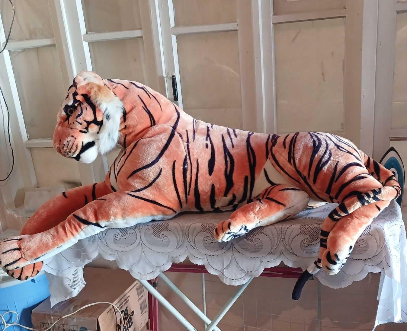 Yumshoq tiger kattagina