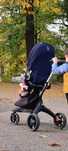 Carucior STOKKE V6 3in1