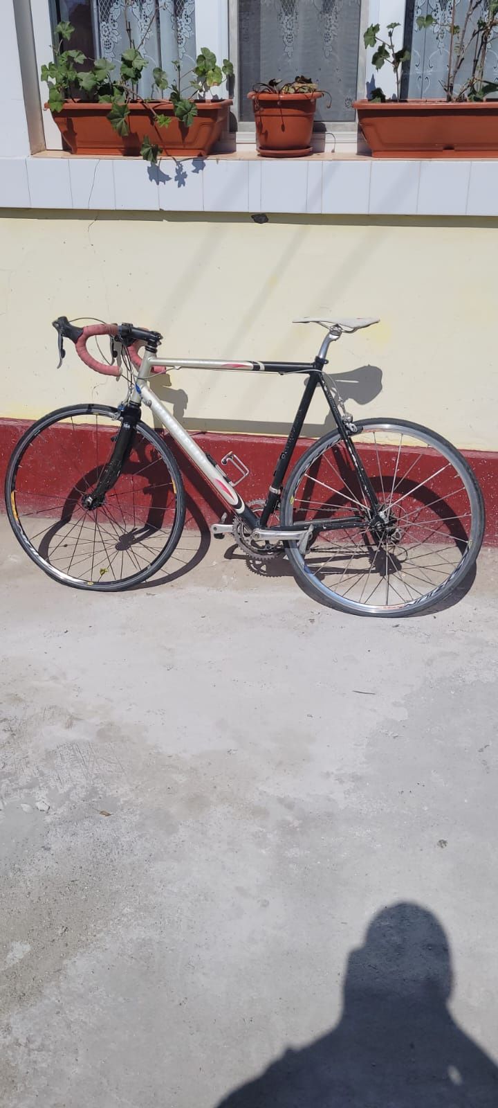 Cursiera pinarello