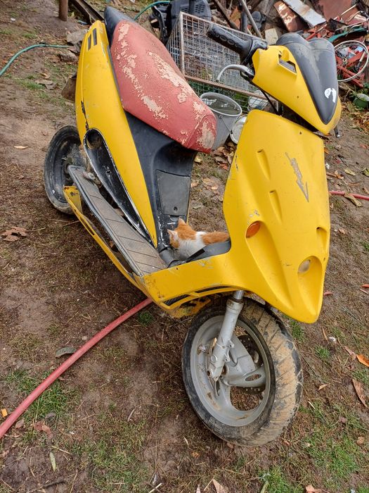 Vand scuter malaguti f 12 de 50cc 800 de leii