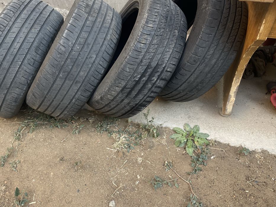 Balon sotiladi xolati alo darajada