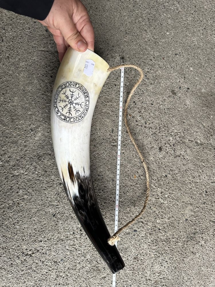 Coarne Lupta Viking , Coarne de baut , corn dr taur