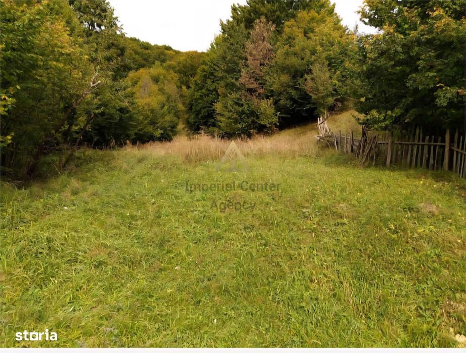 Teren De Vanzare In Slanic Moldova