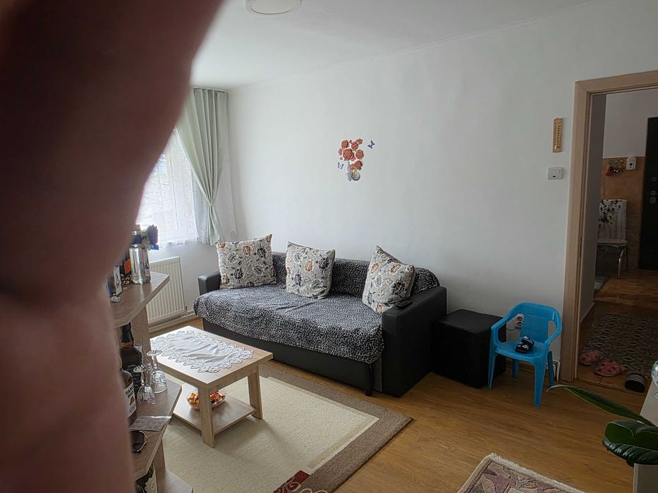 Apartament Alesd