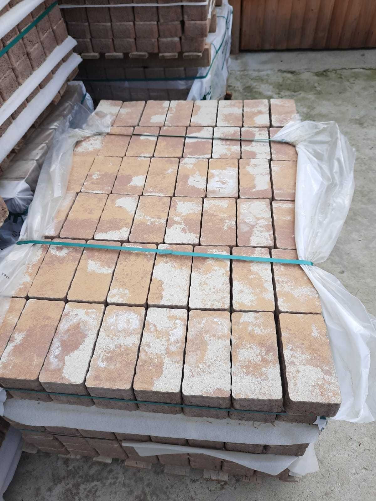 Promotie! Pavaj Appia Antica 20x10x6 cm Stoc Limitat!