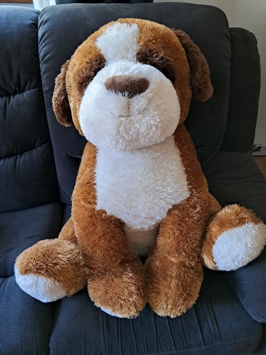 Cățel uriaș foarte simpatic