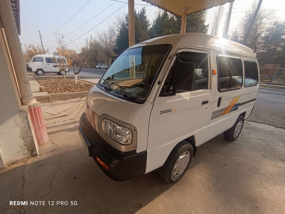 Damaz 2024 Holati Ideal