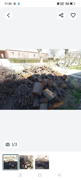 Oʻtinlar, Oʻrik daraxti