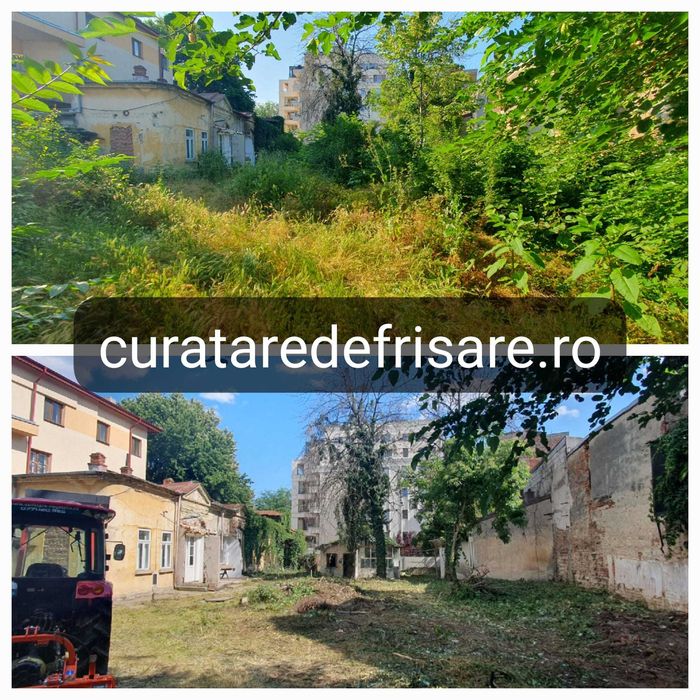 Curatare teren, cosire si tocare vegetatie, tocare arbusti, erbicidare