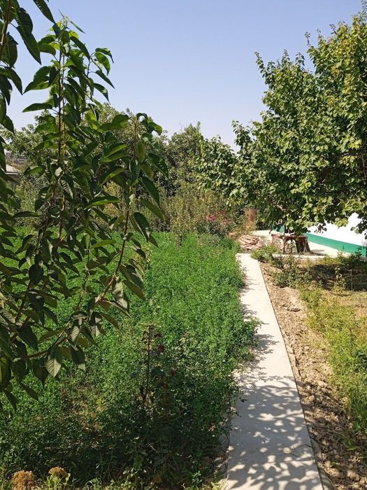 Кибрай тумани Жамбул м.ф.й да 4хона,20 сотиг хонадон сотилади