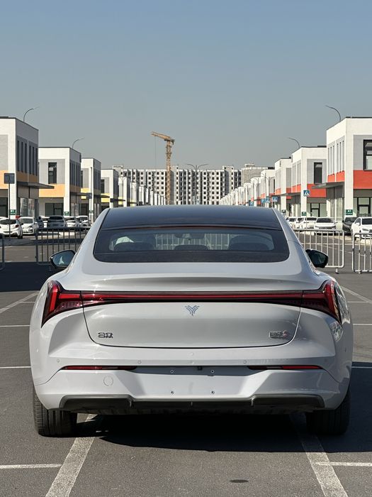 Neta S 2024 Narda grey Electro