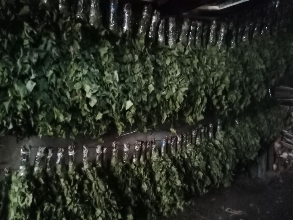 Элитные веники!!!