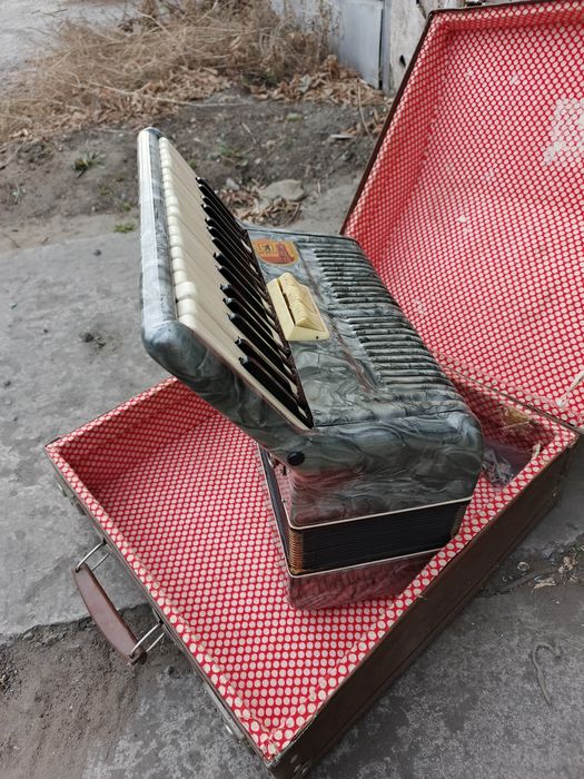 Аккордеон, баян...