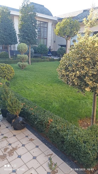 Landshaft dizayn xizmatlari sifatli va hamyonbop narxlarda