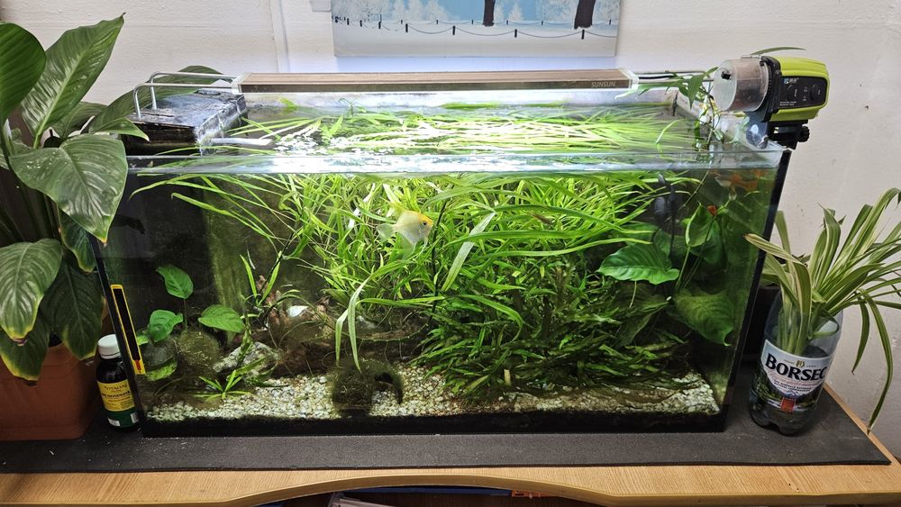 Acvariu 800x 400x 400