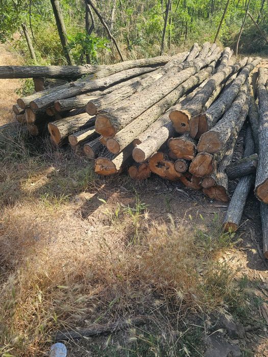Vind lemn foc salcim tăiate capete