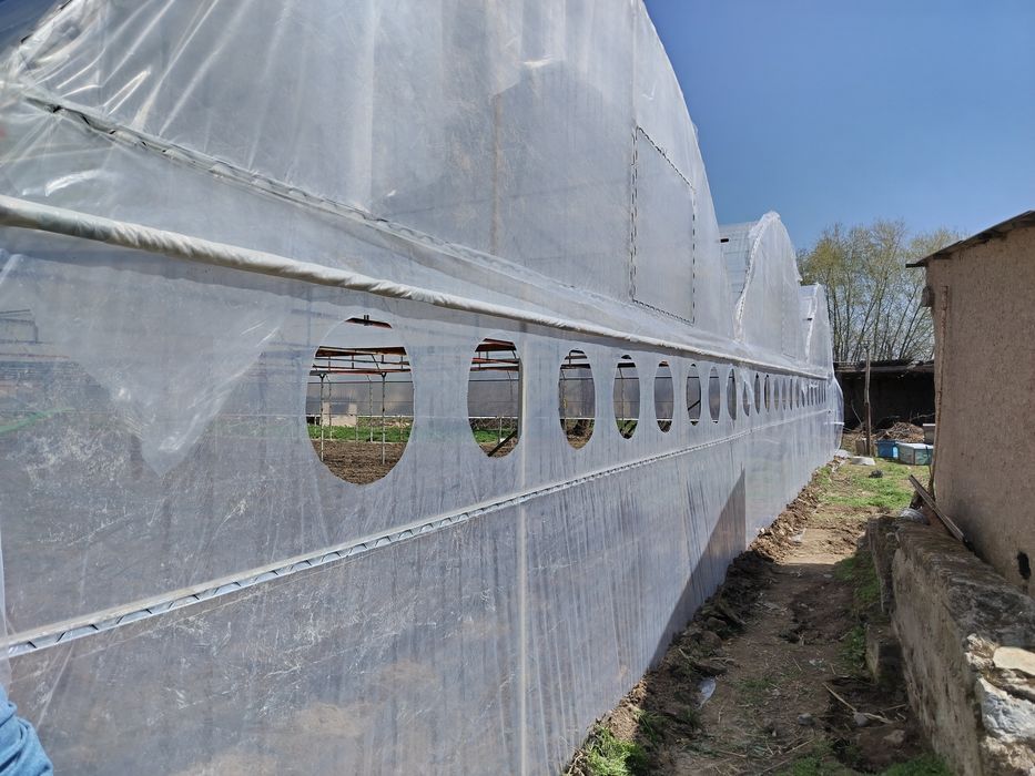 Issiqxona  qurish xizmati  ushtasidan. Biz ishga. Javob. Siz. Pulga