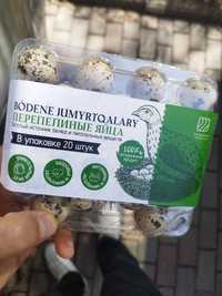Перепелиные яйца в Алматы. Крепкий иммунитет и хорошее развитие детей.