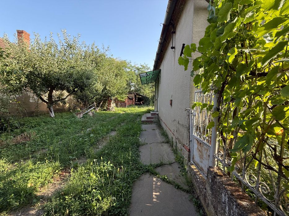 Casă de vânzare cu grădină și viță de vie în Abrămuț – nr. 103