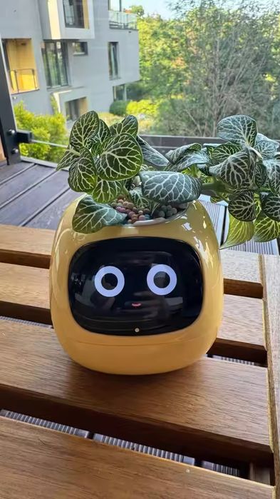 Ghiveci Inteligent Pentru Plante