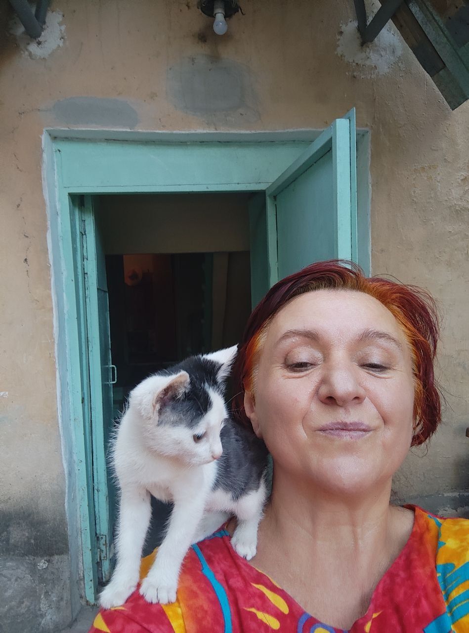 Котята отдаю полосатый и черно белый