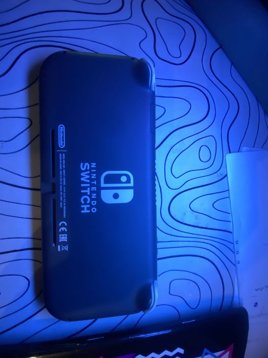 Nintendo switch light